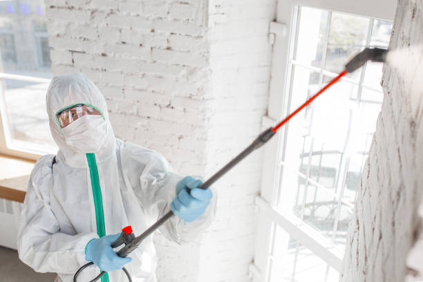 Dehumidification Services in Riddle, OR