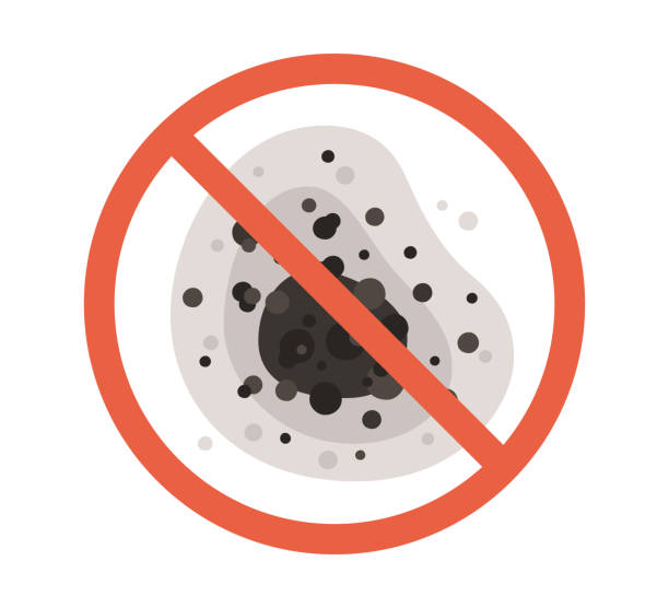 Best Mold Prevention Services  in Riddle, OR