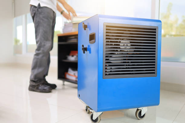 Mold Remediation for Rental Properties in Riddle, OR