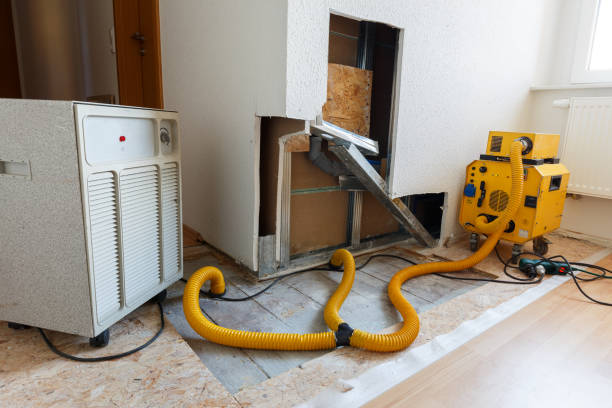 Best Mold Remediation for Healthcare Facilities  in Riddle, OR