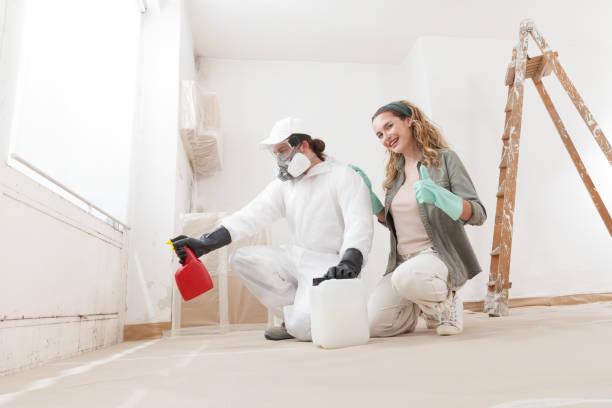 Best Industrial Mold Remediation  in Riddle, OR
